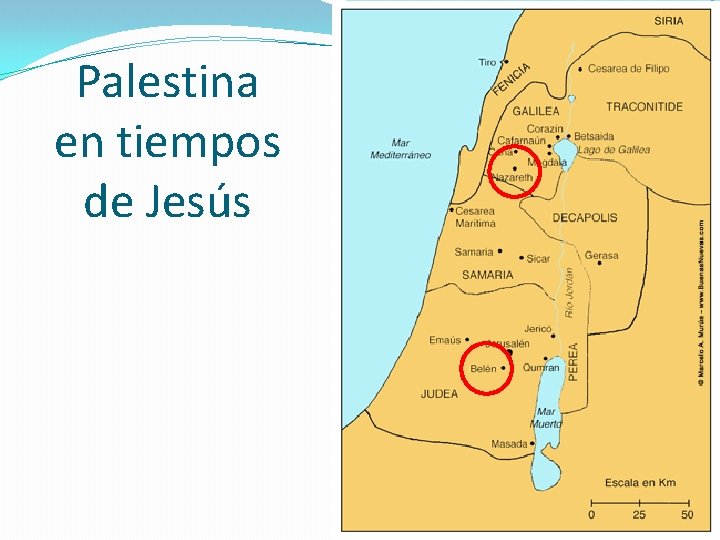 Palestina en tiempos de Jesús 