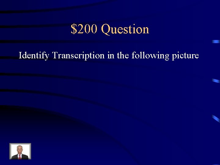 $200 Question Identify Transcription in the following picture 