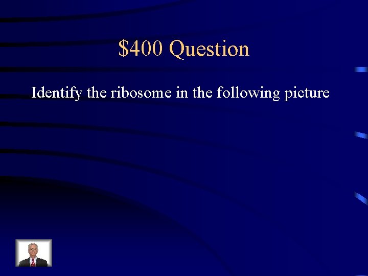 $400 Question Identify the ribosome in the following picture 
