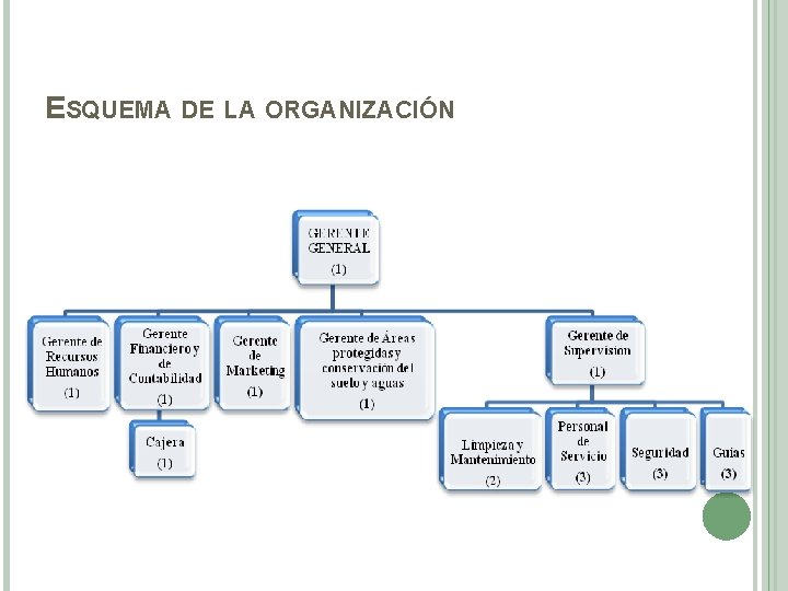 ESQUEMA DE LA ORGANIZACIÓN 