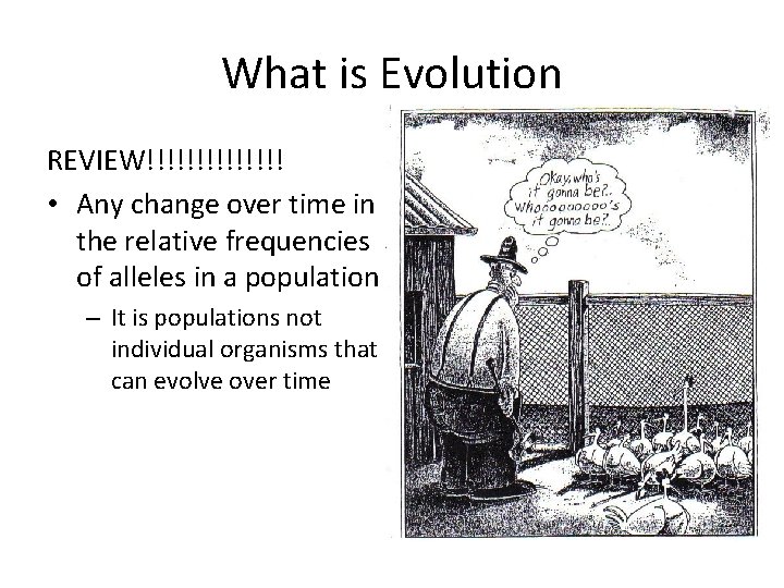What is Evolution REVIEW!!!!!!! • Any change over time in the relative frequencies of