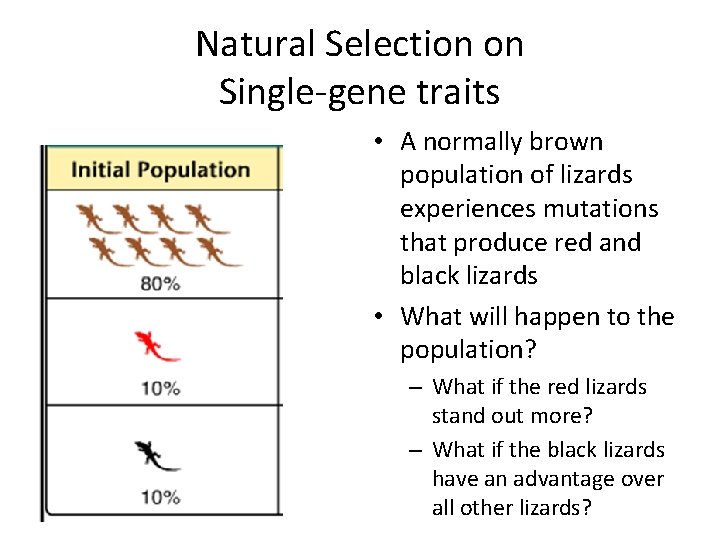 Natural Selection on Single-gene traits • A normally brown population of lizards experiences mutations