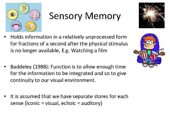 Sensory Memory • Holds information in a relatively unprocessed form for fractions of a