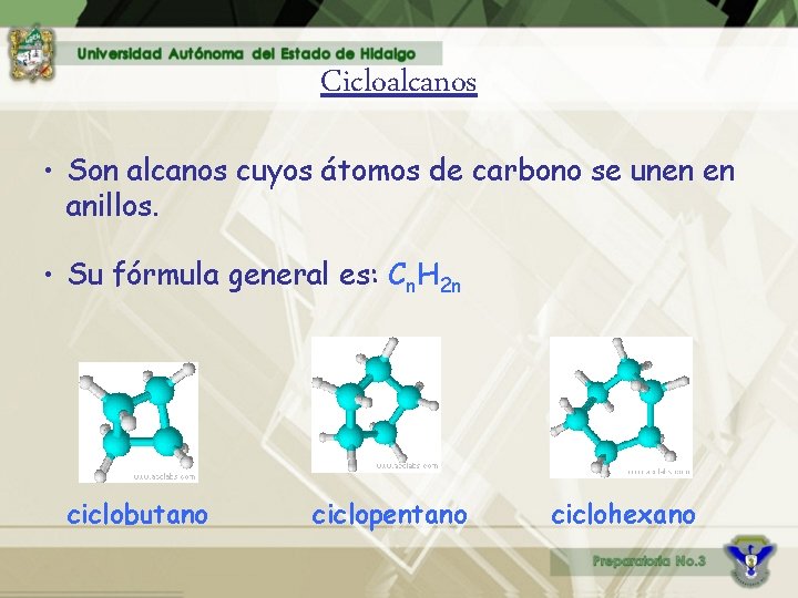 Cicloalcanos • Son alcanos cuyos átomos de carbono se unen en anillos. • Su