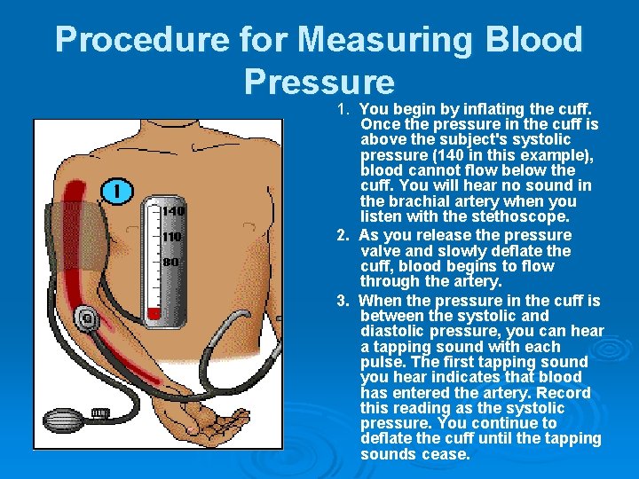 Procedure for Measuring Blood Pressure 1. You begin by inflating the cuff. Once the