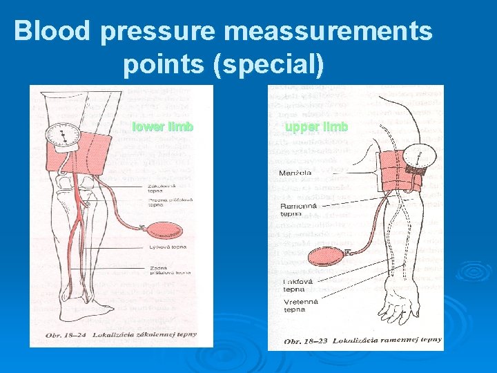 Blood pressure meassurements points (special) lower limb upper limb 