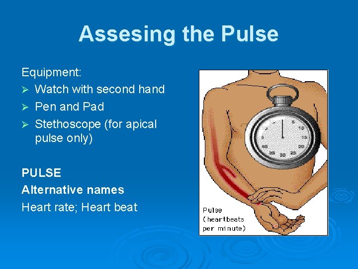 Assesing the Pulse Equipment: Ø Watch with second hand Ø Pen and Pad Ø