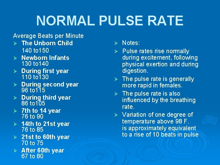 NORMAL PULSE RATE Average Beats per Minute Ø The Unborn Child 140 to 150