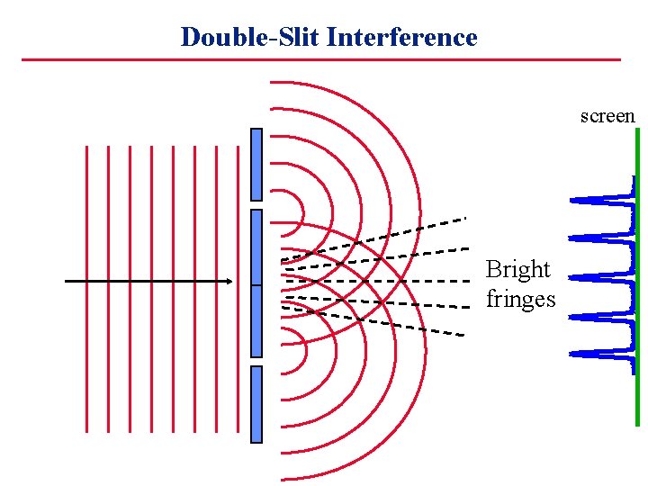 Double-Slit Interference screen Bright fringes 
