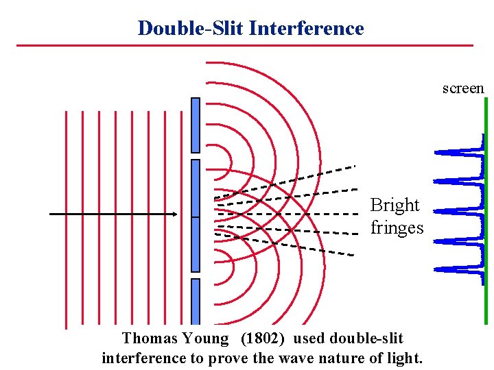 Double-Slit Interference screen Bright fringes Thomas Young (1802) used double-slit interference to prove the