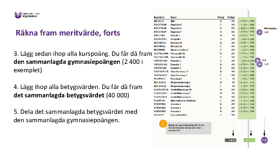 Räkna fram meritvärde, forts 3. Lägg sedan ihop alla kurspoäng. Du får då fram