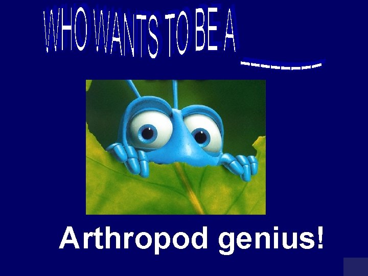 Arthropod genius! 