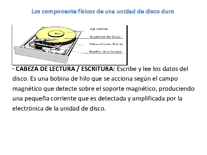 Los componente físicos de una unidad de disco duro · CABEZA DE LECTURA /