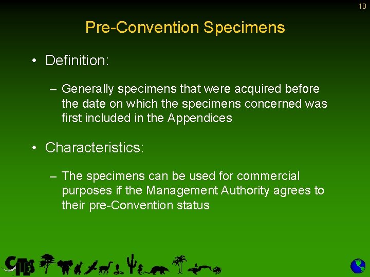 10 Pre-Convention Specimens • Definition: – Generally specimens that were acquired before the date