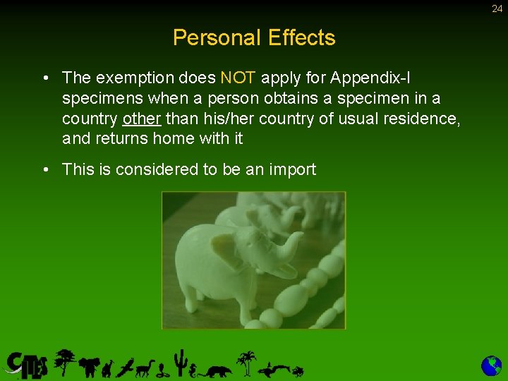 24 Personal Effects • The exemption does NOT apply for Appendix-I specimens when a