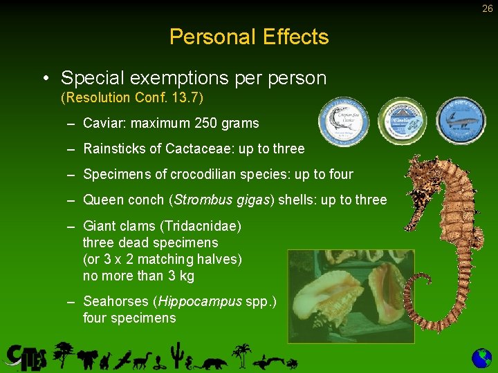 26 Personal Effects • Special exemptions person (Resolution Conf. 13. 7) – Caviar: maximum