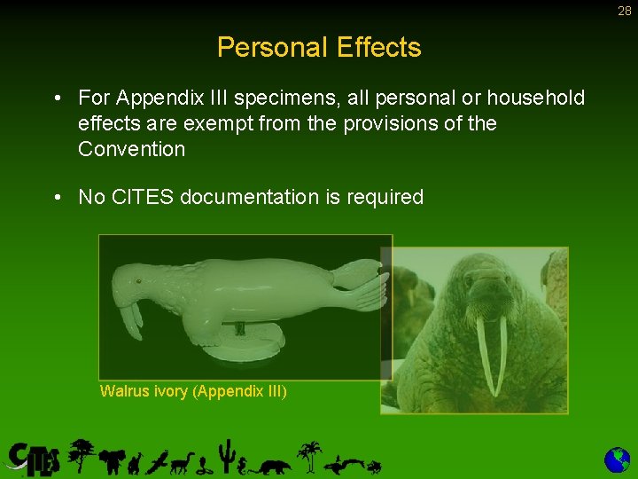 28 Personal Effects • For Appendix III specimens, all personal or household effects are