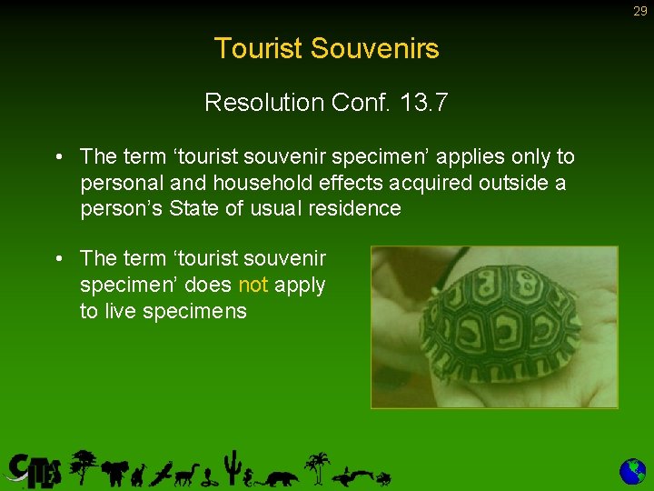 29 Tourist Souvenirs Resolution Conf. 13. 7 • The term ‘tourist souvenir specimen’ applies