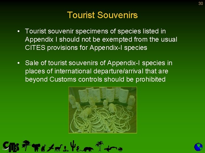 30 Tourist Souvenirs • Tourist souvenir specimens of species listed in Appendix I should