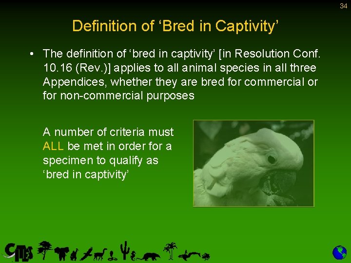 34 Definition of ‘Bred in Captivity’ • The definition of ‘bred in captivity’ [in