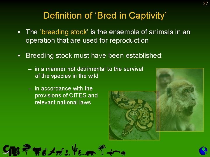 37 Definition of ‘Bred in Captivity’ • The ‘breeding stock’ is the ensemble of