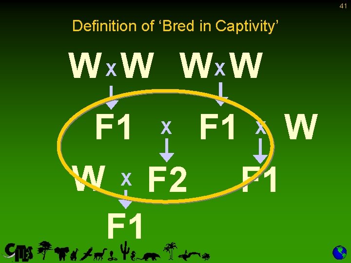 41 Definition of ‘Bred in Captivity’ W X W WX W F 1 X