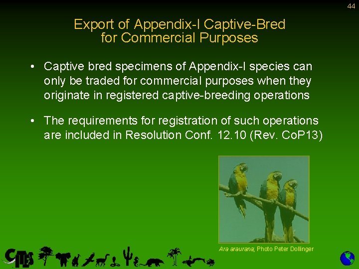 44 Export of Appendix-I Captive-Bred for Commercial Purposes • Captive bred specimens of Appendix-I