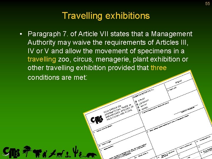 55 Travelling exhibitions • Paragraph 7. of Article VII states that a Management Authority