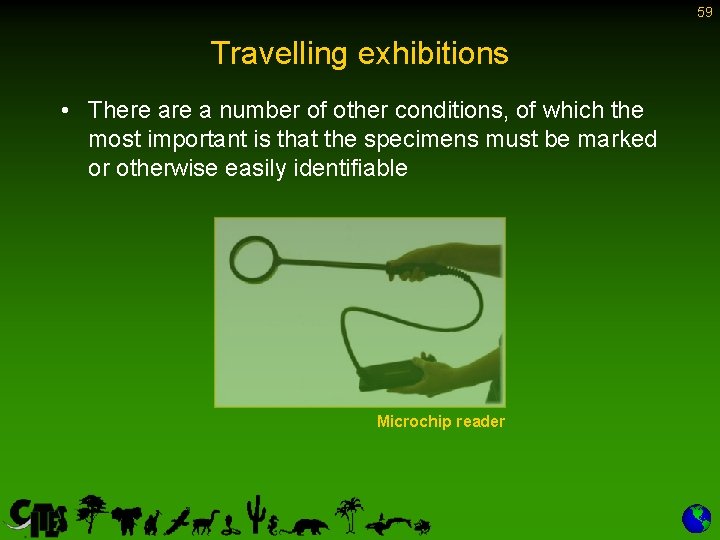59 Travelling exhibitions • There a number of other conditions, of which the most