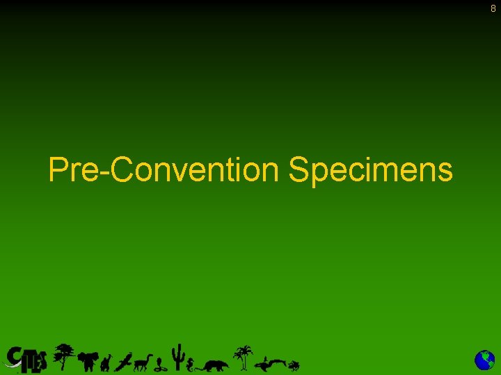 8 Pre-Convention Specimens 