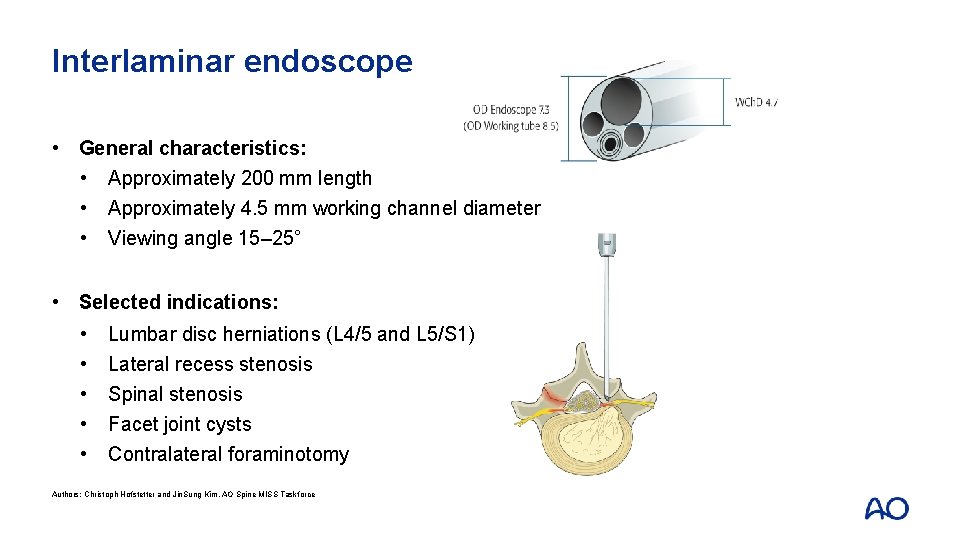 Interlaminar endoscope • General characteristics: • Approximately 200 mm length • Approximately 4. 5
