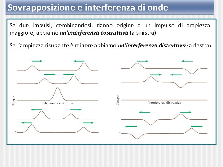 Sovrapposizione e interferenza di onde Se due impulsi, combinandosi, danno origine a un impulso