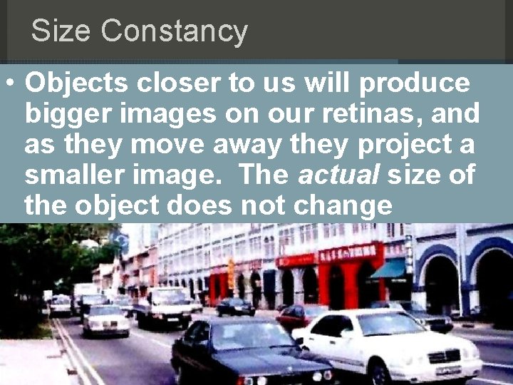 Size Constancy • Objects closer to us will produce bigger images on our retinas,