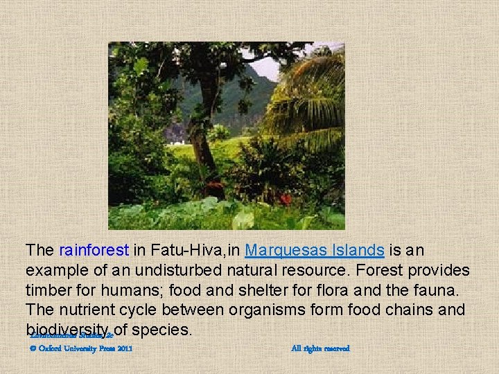 The rainforest in Fatu-Hiva, in Marquesas Islands is an example of an undisturbed natural The rainforest in Fatu-Hiva, in Marquesas Islands is an example of an undisturbed natural