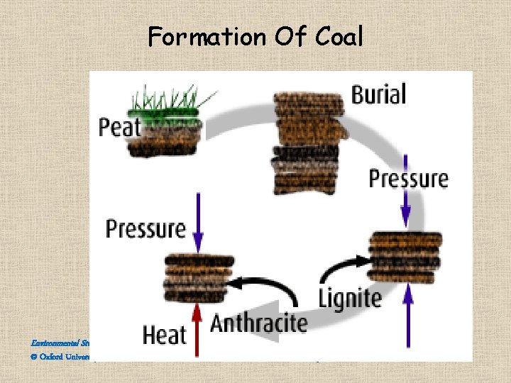 Formation Of Coal Environmental Studies, 2 e © Oxford University Press 2011 All rights Formation Of Coal Environmental Studies, 2 e © Oxford University Press 2011 All rights