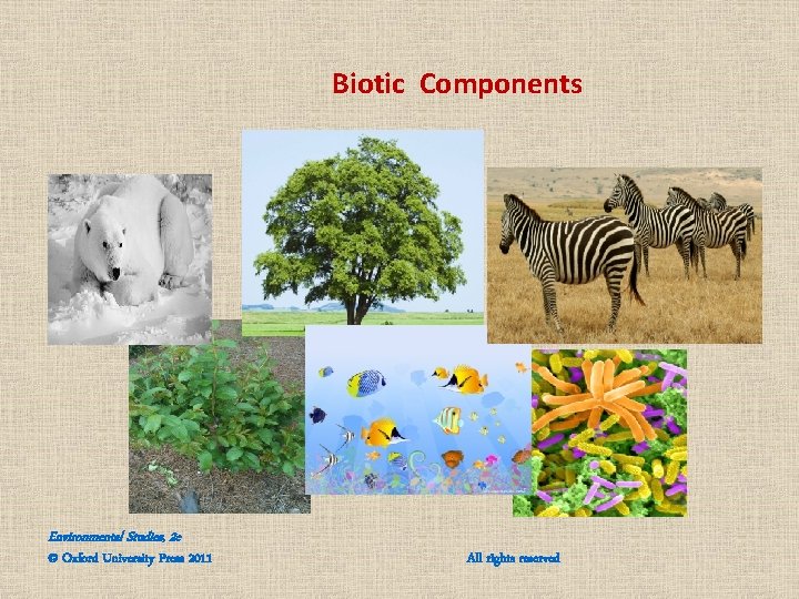 Biotic Components Environmental Studies, 2 e © Oxford University Press 2011 All rights reserved Biotic Components Environmental Studies, 2 e © Oxford University Press 2011 All rights reserved