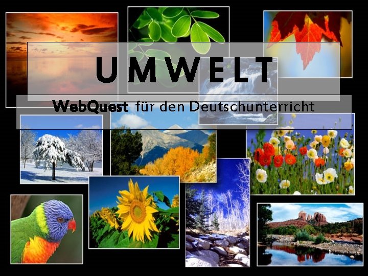 UMWELT Web. Quest für den Deutschunterricht 