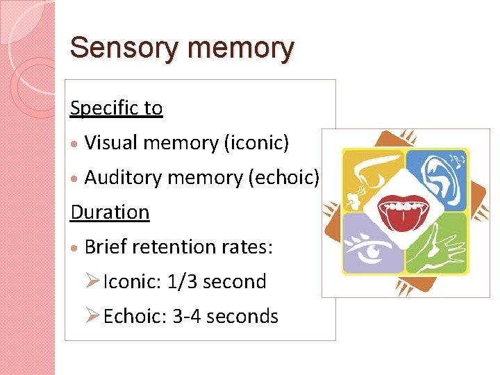 Sensory memory Specific to Visual memory (iconic) Auditory memory (echoic) Duration Brief retention rates: