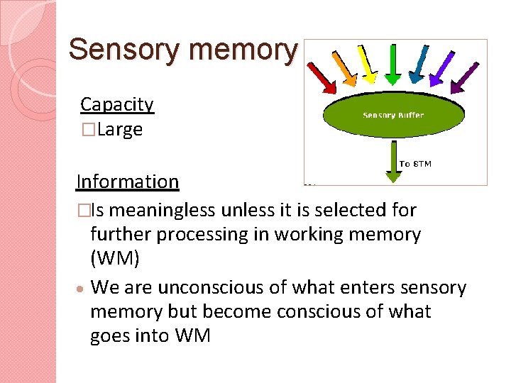 Sensory memory Capacity �Large Information �Is meaningless unless it is selected for further processing