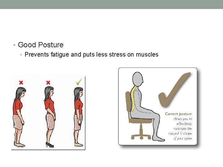  • Good Posture • Prevents fatigue and puts less stress on muscles 