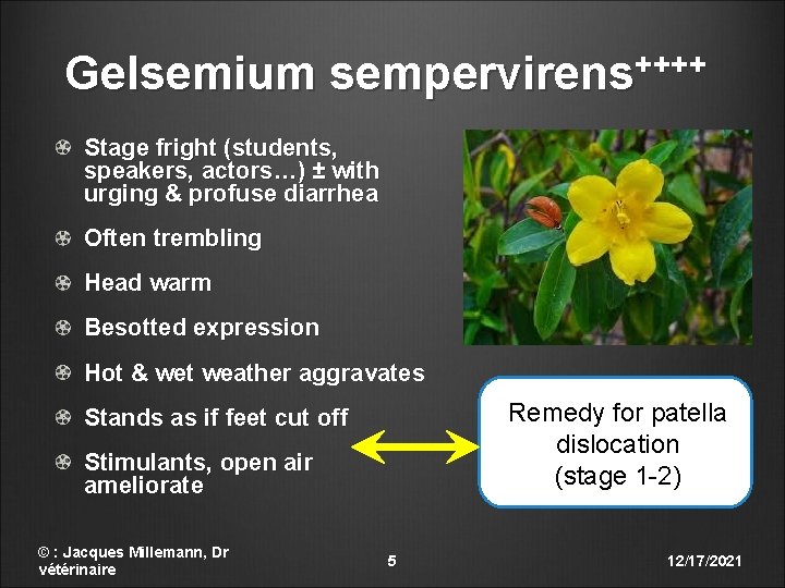 Gelsemium sempervirens++++ Stage fright (students, speakers, actors…) ± with urging & profuse diarrhea Often