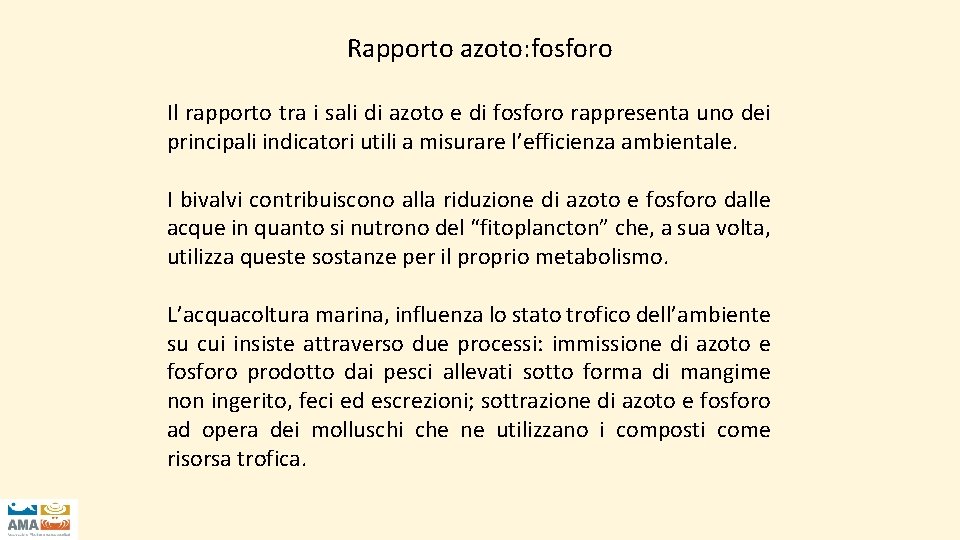 Rapporto azoto: fosforo Il rapporto tra i sali di azoto e di fosforo rappresenta