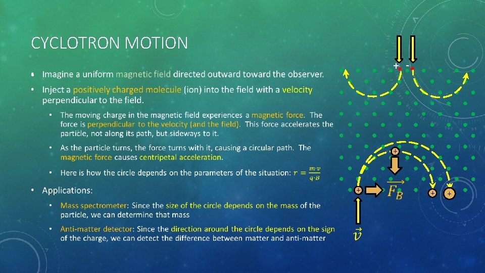 CYCLOTRON MOTION + - • + + CYCLOTRON MOTION + - • + +