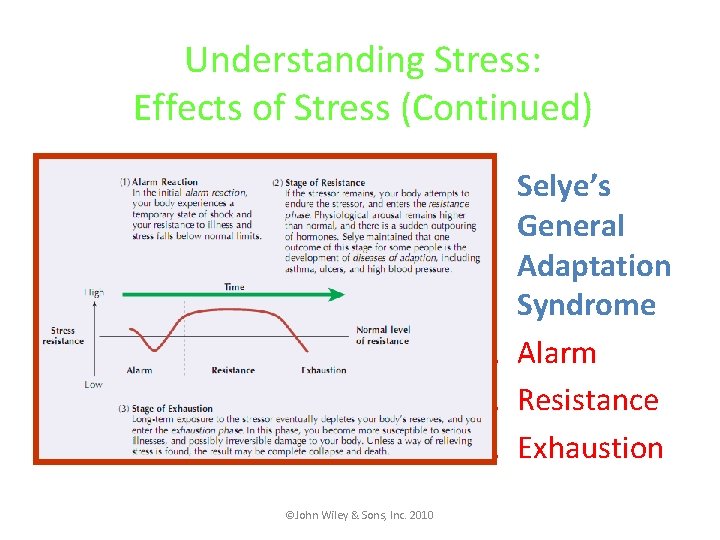 Understanding Stress: Effects of Stress (Continued) • Selye’s General Adaptation Syndrome 1. Alarm 2.
