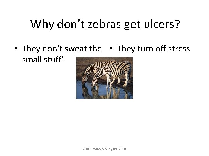 Why don’t zebras get ulcers? • They don’t sweat the • They turn off