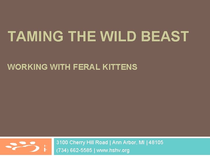 TAMING THE WILD BEAST WORKING WITH FERAL KITTENS 3100 Cherry Hill Road | Ann