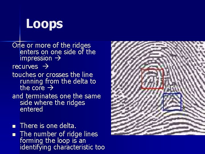 Loops One or more of the ridges enters on one side of the impression