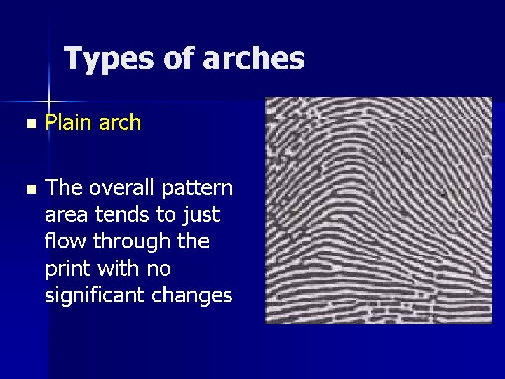 Types of arches n Plain arch n The overall pattern area tends to just