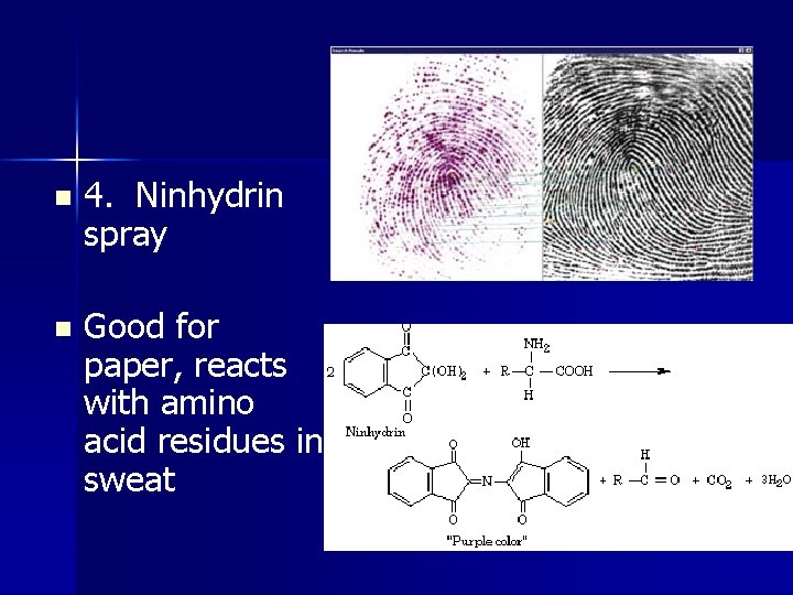 n 4. Ninhydrin spray n Good for paper, reacts with amino acid residues in