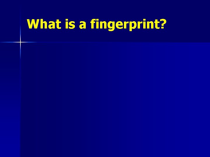 What is a fingerprint? 